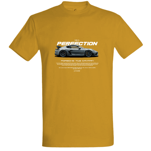 Porsche PERFECTION (1)